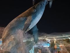 -海合安武汉极地海洋公园