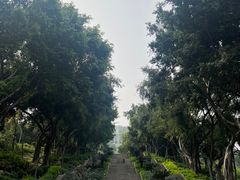 -青礁慈济宫