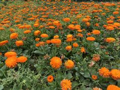 -灶东家民间菜(回兴店)