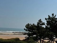 -靓湾海鲜·海景餐厅(小麦岛店)