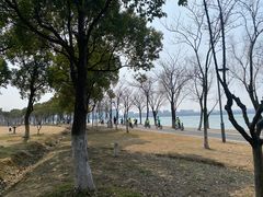-阳澄湖半岛旅游度假区