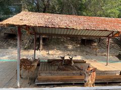 -北京鹿世界主题园