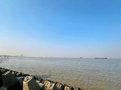 -上海滨江森林公园