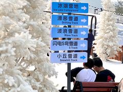 -盈香心动乐园