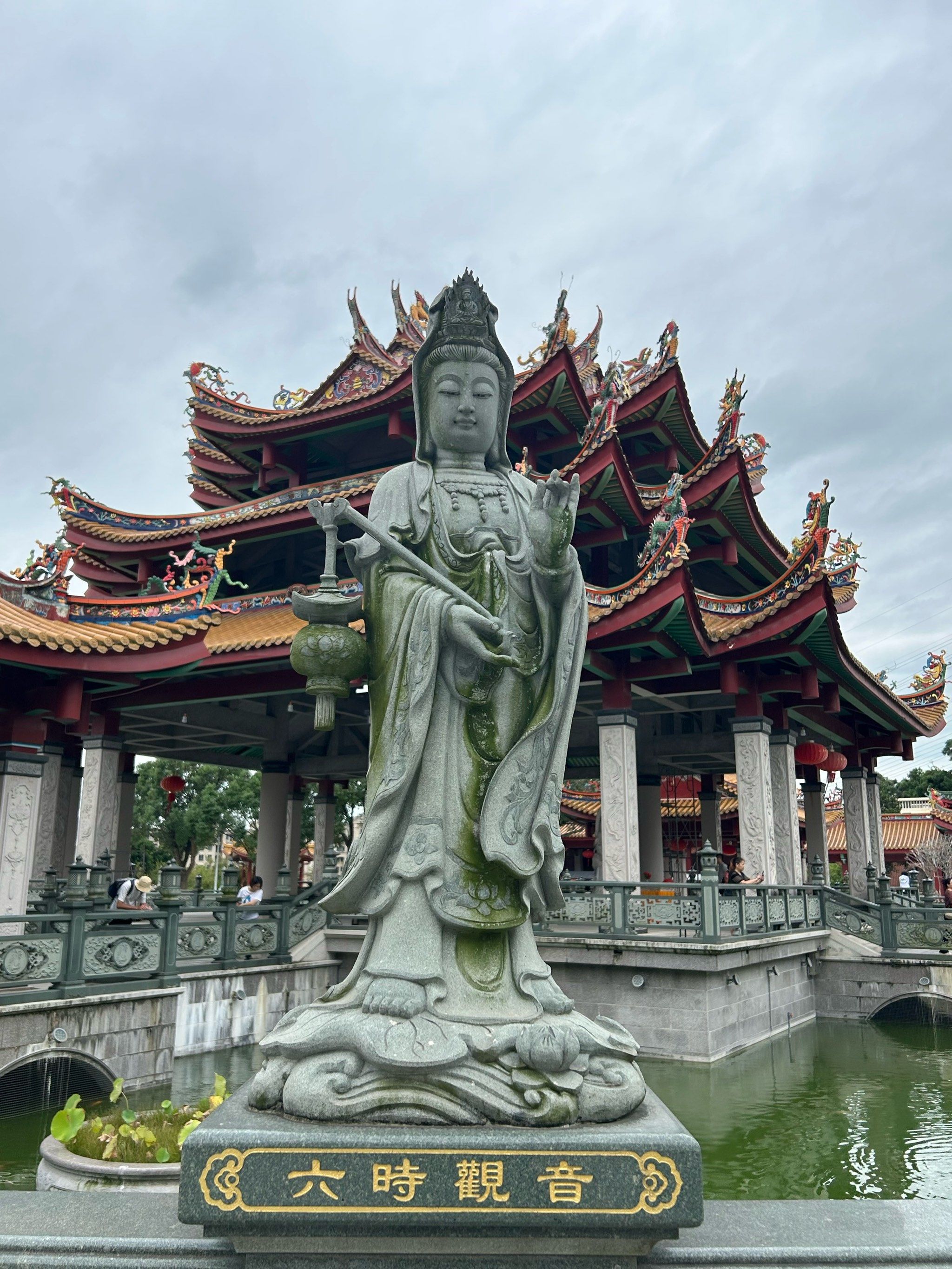 天竺岩寺的锦鲤好大呀