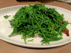 -滇铺子·云南特色菜·第九届野生菌美食节(曲靖万达店)