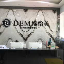 -DEM缔怡美科技美容