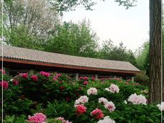 -廊坊市自然公园