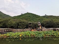 -荷塘味道(水长城店)