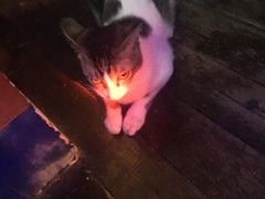 -星宿秘码(鼓浪屿老店)