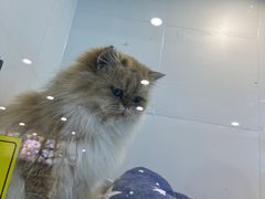 -万达广场(龙湖店)
