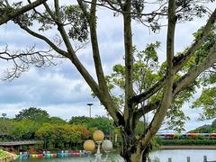 -梅州雁山湖国际花园度假区