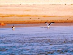 -那香海钻石沙滩浴场