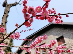 -思南公馆