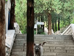 -四门塔风景区