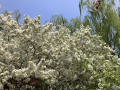 -元大都城垣遗址公园