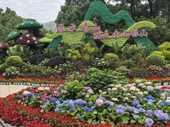-南山植物园