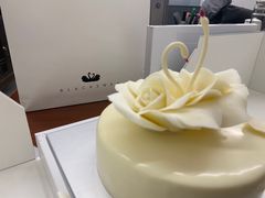 -BLACKSWAN黑天鹅(环球店)