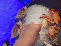 -源·咖啡自助餐厅·海鲜·烧烤·三文鱼(海口华彩洲际酒店)