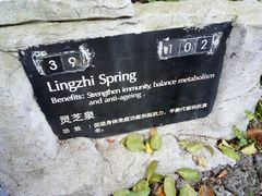 景点-海口观澜湖火山温泉谷
