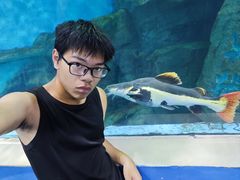 -苏州海洋馆