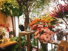 -蝶舍·MAISON PAPILLON