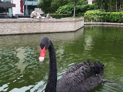 -行者书屋大堂吧 ·下午茶(南京圣和府邸酒店)