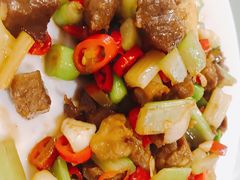 -椿记烧鹅(叠彩店)