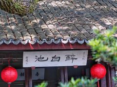 -上海醉白池公园