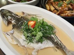 -山水茶艺馆·点心粤菜·30年老字号