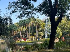 -晓港公园