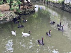 -黔灵山公园
