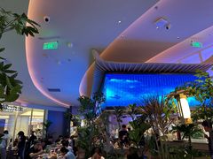 -桂满陇·蟹黄小笼汤包(清河万象店)