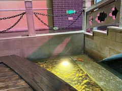 -姚江春中餐厅·太平洋大酒店