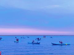 -碧海金沙