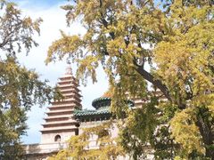 -北京石刻艺术博物馆(五塔寺)