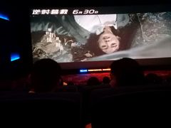 -奥斯卡升龙国际影城(RealD Cinema)
