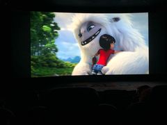 -奥斯卡升龙国际影城(RealD Cinema)