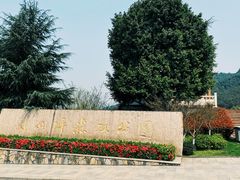 -铁山坪森林公园