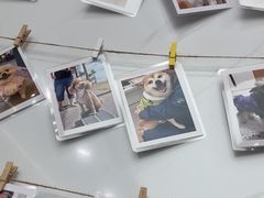 -瑞派康怡24h宠物医院·犬猫医疗中心·微创绝育(瑞景分院)