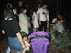 -从化深英荔枝黄皮龙眼采摘园