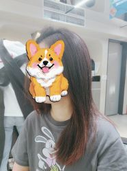 -木北造型