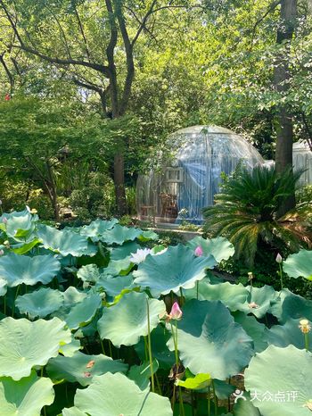 杭州超适合公司团建的园林餐厅老板和同事都很满意