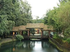 -云南屏边大围山国家公园