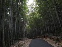 -苏州环秀晓筑养生度假村