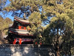 -香山公园