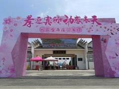 -金卉庄园