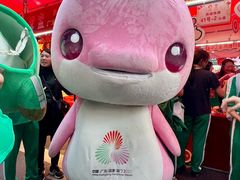 -越秀西湖花市(广州城市广场花卉店)