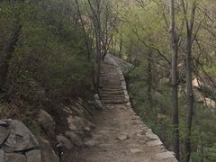 -大岭沟猕猴桃谷风景区