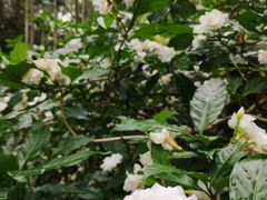 -北海市海滨公园